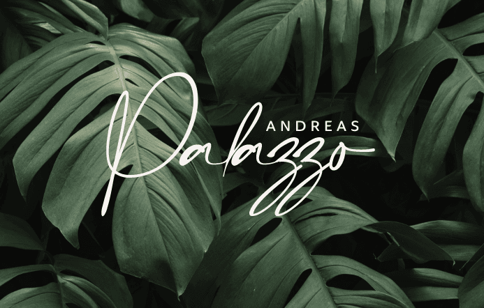 Andreas Palazzo company illustration